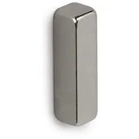Maul Neodym Magnet (B x H x T) 15 x 4 St.