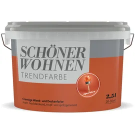 Schöner Wohnen Trendfarbe Aperitivo rot matt 2,5 l