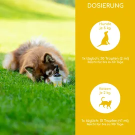 Wolfsbacher Natur Bio Nachtkerzenöl 100 ml Öl