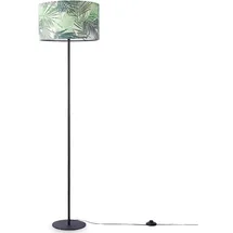Paco Home Ostende 534 534 schwarz