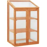 vidaXL Gewächshaus 60x45x100 cm Tannenholz