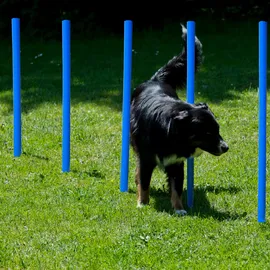 Procyon Agility Set 11 cm Blau