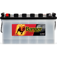 LKW Batterie 100Ah für Mercedes Nissan Volvo 12V 600A Banner Buffalo Bull 60035