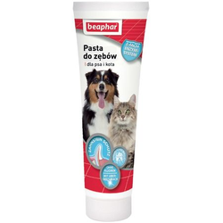 BEAPHAR-Teeth Paste 100G - Zahnpasta mit Lebergeschmack für Hunde und Katzen (Rabatt für Stammkunden 3%)