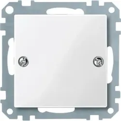 Merten 461819 Blindabdeckung für Sonderanfertigung Kommunikation/EDV, polarweiß glänzend System M