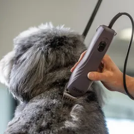 Agrarzone Wahl KM10+ Hunde Schermaschine mit Aufsteckkamm Set