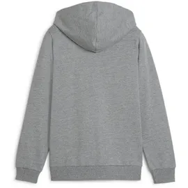 Puma Teamgoal Casuals Kapuzenjacke Medium Gray Heather/White 116