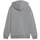 Puma Teamgoal Casuals Kapuzenjacke Medium Gray Heather/White 116