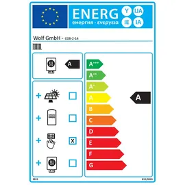 WOLF-Garten Wolf CGB-2-14 14 kW, BM2 Aufputz