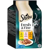 Sheba Fresh & Fine in Sauce mit Huhn und Lachs 6 x 50 g