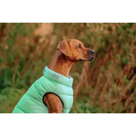 Nobby Hundemantel Light cascade grau