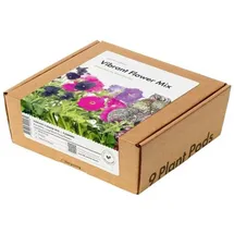 Click and grow Click and Grow, Samen, Smart Garden Refill, 9-pack Vibrant Flower Mix (Blumensamen)