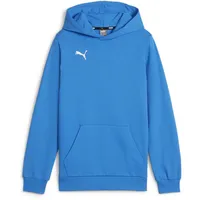 Puma teamGOAL Casuals Hoodie Jungen 02 ignite blue/white 164