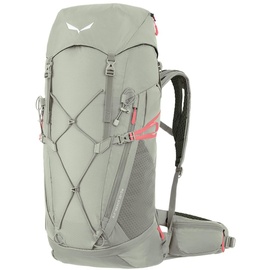 Salewa Alp Trainer 30+3 33l Backpack One Size