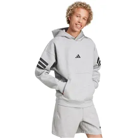 adidas Hoodie Silber XL