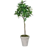 aplanta Künstlicher Kaffeebaum - Albus | 150 cm