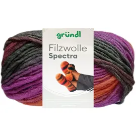 120 Filzwolle Spectra Mehrfarbig 100 g