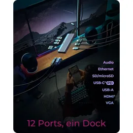 Icy Box IB-DK4062-CPD Multi Dockingstation - Grau