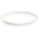 neuhaus pure® by paul neuhaus PURE Lines Round 1 rund/weiß Ø 50 cm x 3,9 cm