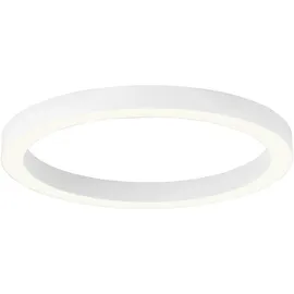 neuhaus pure® by paul neuhaus PURE Lines Round 1 rund/weiß Ø 50 cm x 3,9 cm