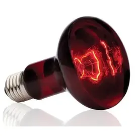 Exo Terra R25 Infrarot-Spotlampe