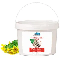 bleu & marine Bretania Arnika FORTE Gel-Konzentrat 90% Arnika-Extrakt BIO aus Biologischem Anbau. Massage-Gel für Muskeln und Gelenke. Feuchtigkeitscreme für die Haut - 2200 g 2.2 kg