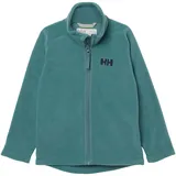 HELLY HANSEN Daybreaker 2.0 Fleecejacke Opal Grün 86