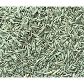 Substral Rasensamen Die Nachsaat 2 kg, für 100 m2