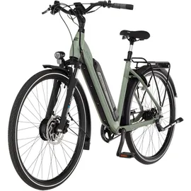 Fischer CITA 2403 28 Zoll RH 43 cm grün