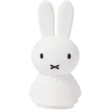 Mr Maria Miffy Shines