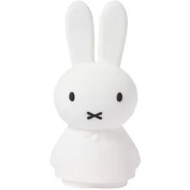Mr Maria Miffy Shines