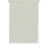 GARDINIA Seitenzugrollo Lichtdurchlässig 62 x 180 cm beige