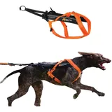 Non-Stop Dogwear Freemotion Harness 5.0 | Hunde-Geschirr für alle Sportarten, Größe:Größe 8