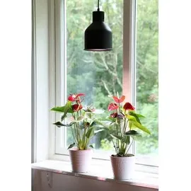 Venso SAGA Lampenschirm Schwarz