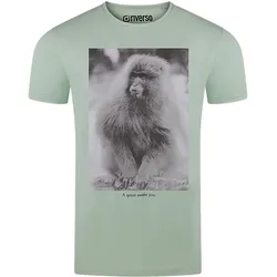 riverso Herren T-Shirt RIVCharly Regular Fit Regular Fit Grün M