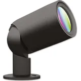 Müller-Licht LED Müller Licht tint Flores XL 404076
