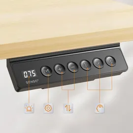 SENSE7 elektrisch 120x60 White Pine