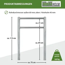 Trutzholm Fahrradständer Fahrradanlehnbügel Typ H 115x75 cm Stahl feuerverzinkt Ø 60 mm grau