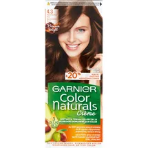 Garnier Nutrisse Crème Haarfarbe 4,3 goldbraun 1 x 1 Stk