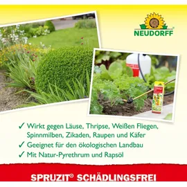 NEUDORFF Spruzit Schädlingsfrei Insektizid 50 ml