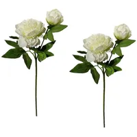 Hti-Living Pfingstrose 2er Set Weiß Flora