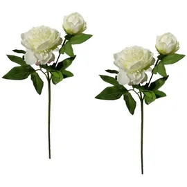 Hti-Living Pfingstrose 2er Set Weiß Flora