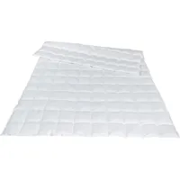 Traumina Plume Bio Daune Einziehdecke WK1
