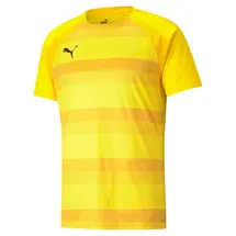 Puma Teamvision Trikot (704921)