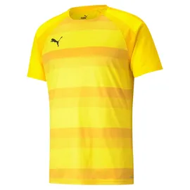 Puma Teamvision Trikot (704921)