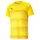 Puma Teamvision Trikot (704921)