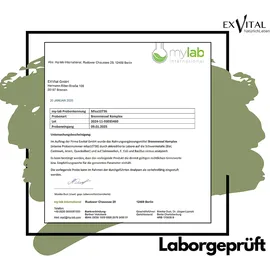 Exvital Brennnessel Komplex Kapseln 120 St.