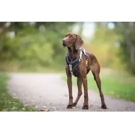 Wolters Active Pro Hundegeschirr Champagner/Schwarz 40-47,5 cm