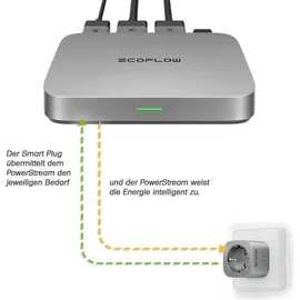 EcoFlow Smart Plug 0 m Silber 1 St.