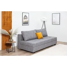 Collection AB Schlafsofa DARIA inklusive Schlafunktion und Bettkasten, Schlafsofa,Bettfunktion,Bettkasten,inklusive Rückenkissen,Federkern grau